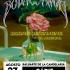 Bodas de Sangre – El musical