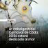 Gran Cabalgata del Carnaval de Cádiz 2026